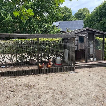 Completely Renovated Back Part Of A Farm Villa Uden Kültér fotó